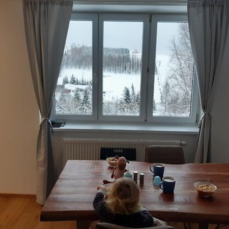 Apartman U Kunstatskeho Mlyna Orlicke Zahori Eksteriør bilde
