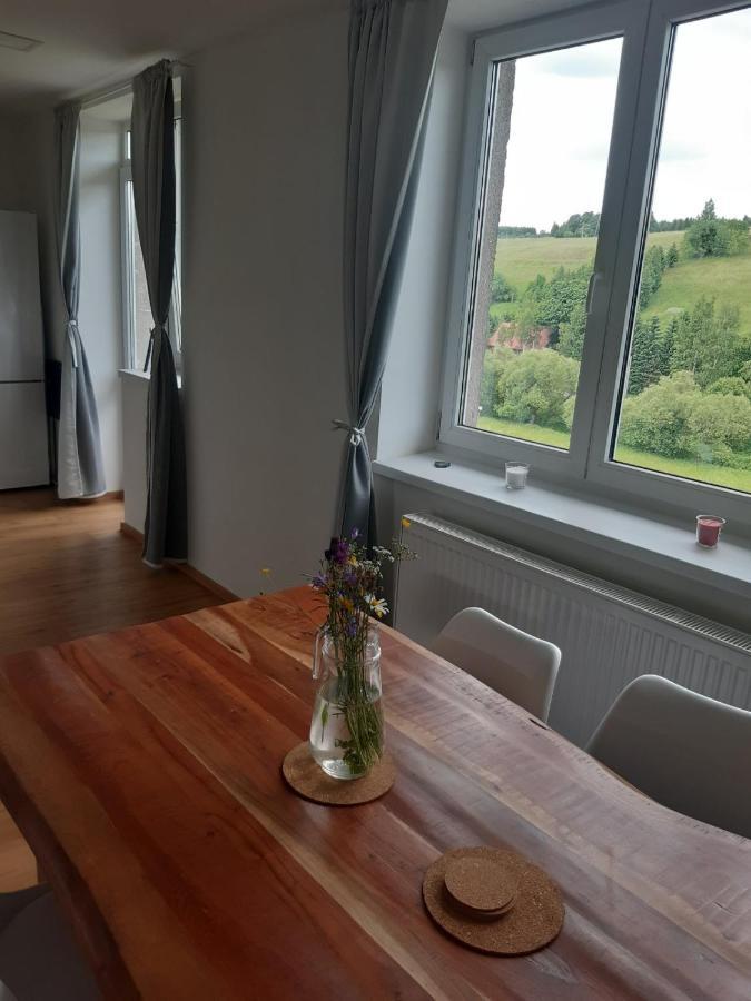 Apartman U Kunstatskeho Mlyna Orlicke Zahori Eksteriør bilde