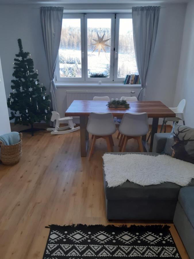 Apartman U Kunstatskeho Mlyna Orlicke Zahori Eksteriør bilde