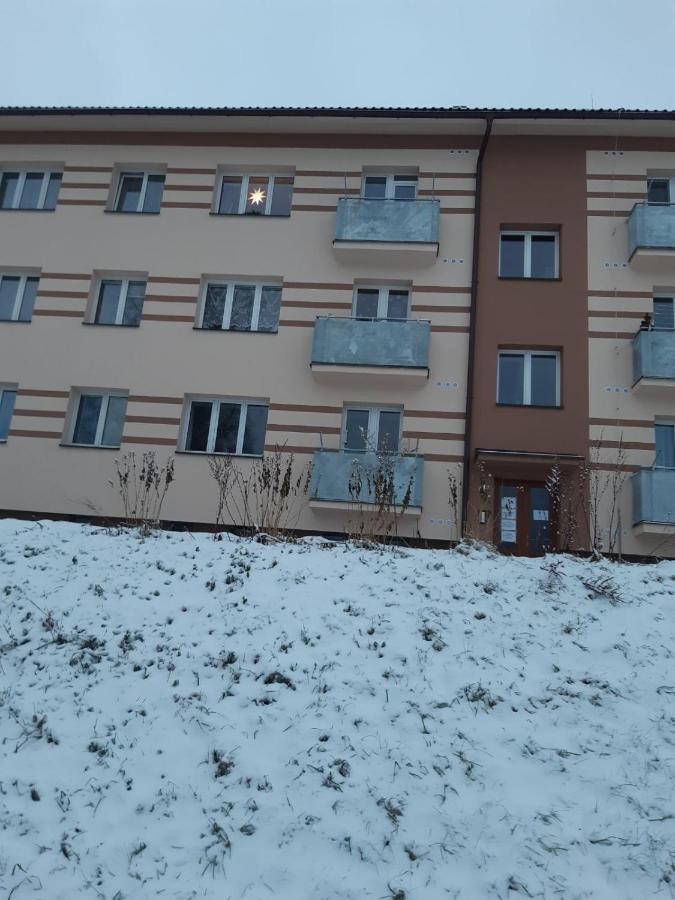 Apartman U Kunstatskeho Mlyna Orlicke Zahori Eksteriør bilde